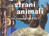 QUESTI STRANI ANIMALI